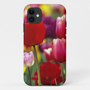 Coque Case-Mate Pour iPhone États-Unis, Oregon, vallée de Willamette. Magnifiq