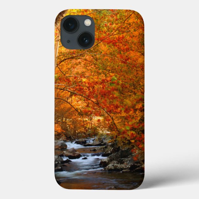 Coques Case-Mate iPhone États-Unis, Tennessee. Rushing Mountain Creek (Verso)