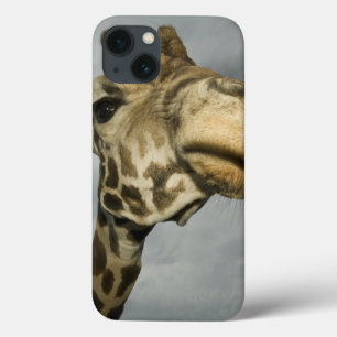 iPhone 13 Coque États-Unis, Texas, Fossil Rim Wildlife Area, giraf
