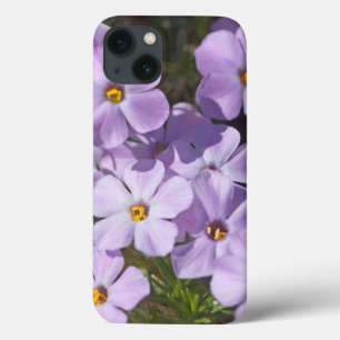 Case-Mate iPhone Case États-Unis, Washington, chaîne des Cascades 6