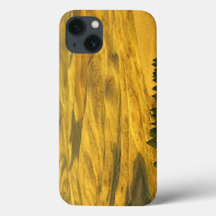 iPhone 13 Coque États-Unis, Washington, comté de Whitman, Palouse,