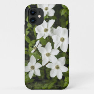 Case-Mate iPhone Case États-Unis, Washington, Cornouiller du Pacifique, 