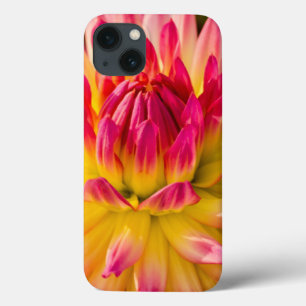 iPhone 13 Coque États-Unis, Washington. Détail De La Fleur Dahlia