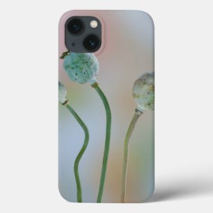 Etui iPhone Case-Mate États-Unis, Washington. Gros plan de graines de pa
