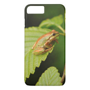 Coques Pour iPhone États-Unis, Washington, Seattle, Discovery Park