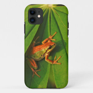Coque iPhone 11 États-Unis, Washington, Seattle, Discovery Park 2
