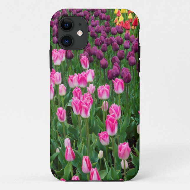 Coques Case-Mate iPhone États-Unis, Washington. Tulipes en fleurs (Dos)