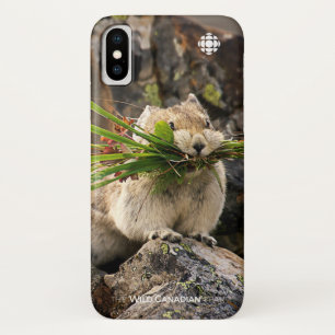 Case-Mate iPhone Case Été - American Pica