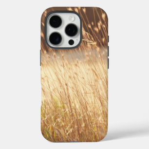 iPhone 16 Pro Case Été Coucher du soleil