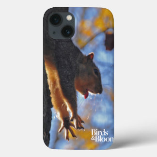 iPhone 13 Case Étiquetage écureuil