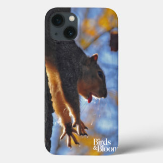 Coques Pour iPhone Étiquetage écureuil