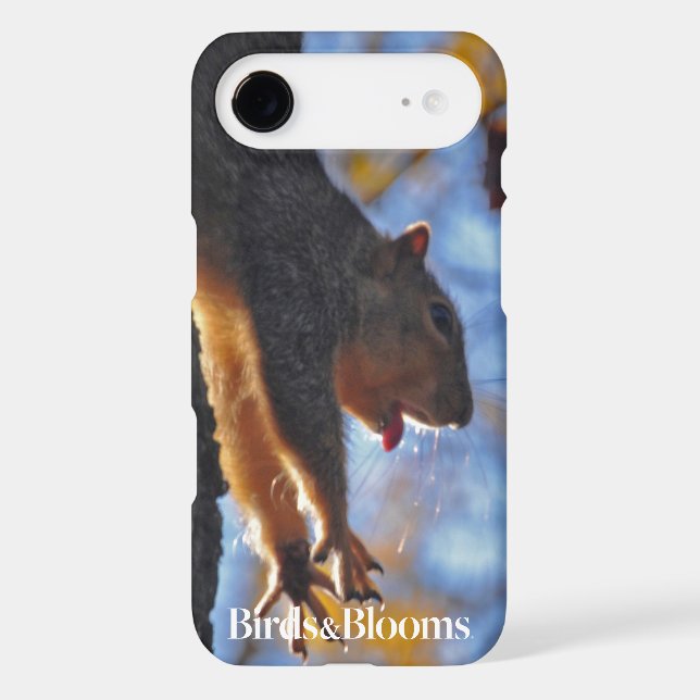 Coques Case-Mate iPhone Étirage de l'écureuil (Verso)