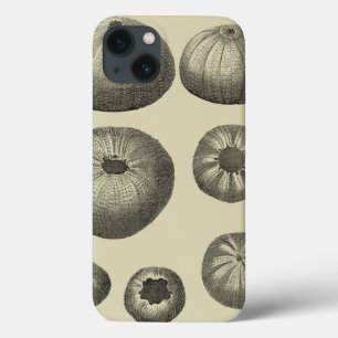iPhone 13 Case Étoiles de mer noires et blanches