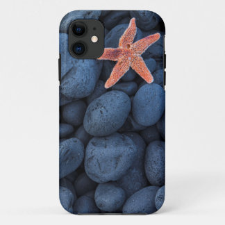 Coque Case-Mate Pour iPhone Étoiles de mer sur les roches noires le long de la