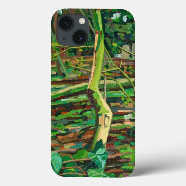 Coques Case-Mate iPhone Étude de la fosse à bec (Verso)