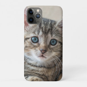 Case-Mate iPhone Case Face de chat mignonne