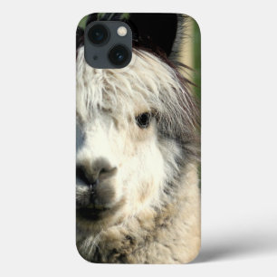 iPhone 13 Case Face de lama