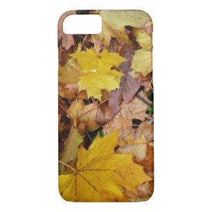 Coque iPhone 8/7 Fallen Maple Feuille Jaune Automne Nature