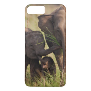 Coque iPhone 8 Plus/7 Plus Famille d'éléphants d'Asie indiens dans la savane