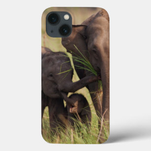 Etui iPhone Case-Mate Famille indienne d'éléphant asiatique dans la