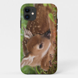 Coques Pour iPhone Faon de Cerf à queue blanche âgé de deux jours, Ke