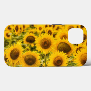 Case-Mate iPhone Case Farms A Sunflower