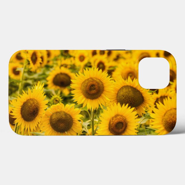 Coques Case-Mate iPhone Farms | A Sunflower (Verso (horizontal))