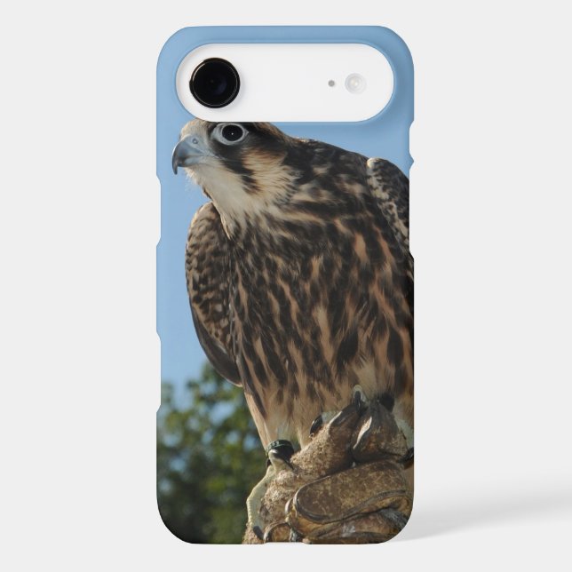 Coques Case-Mate iPhone Faucon pérégrin (Verso)