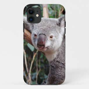 Etui iPhone Case-Mate Featherdale Wildlife Park, Koala Bears