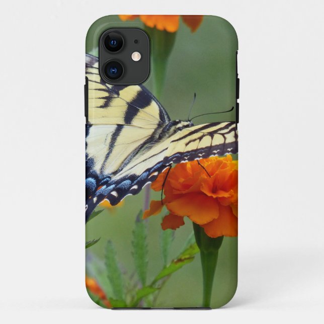 Coques Case-Mate iPhone Femelle jaune Tigre de l'Est Swallowtail (Dos)