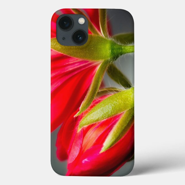 Coques Case-Mate iPhone Fermeture de la vinification du géranium à partir  (Verso)