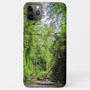 Case-Mate iPhone Case Fern Canyon Green Walls dans le parc national Redw