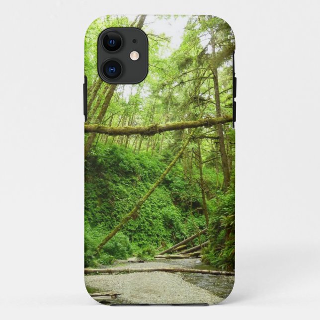 Coques Case-Mate iPhone Fern Canyon I au Redwood National Park (Dos)