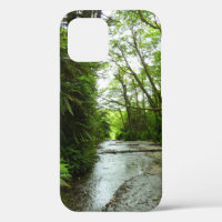 Fern Canyon II au Parc national de Redwood