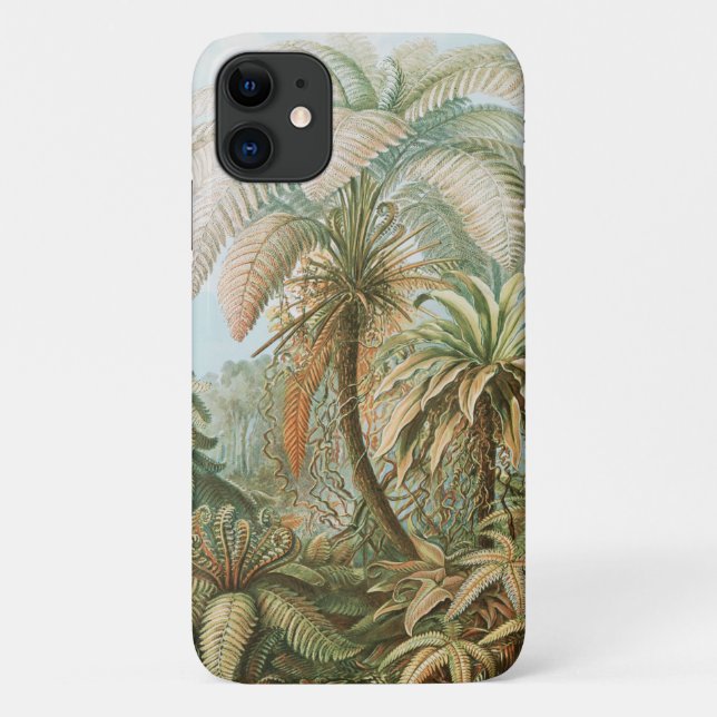 Coques Case-Mate iPhone Ferns, Filicinae Laubfarne par Ernst Haeckel (Dos)