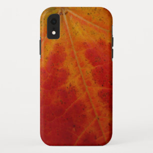Case-Mate iPhone Case Feuille d'érable rouge Abstraite Automne Photograp