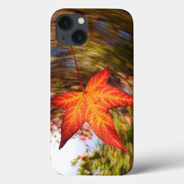 Coques Case-Mate iPhone Feuille tombante d'un arbre en automne (Verso)
