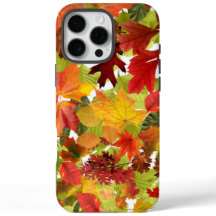 Feuilles automnales d'automne