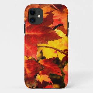 Coque Case-Mate Pour iPhone Feuilles d'automne colorées, feuille d'érable doré
