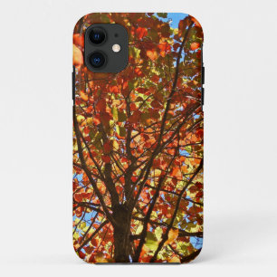 Coques Pour iPhone Feux d'artifice d'automne