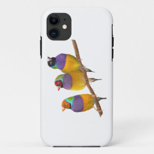 Case-Mate iPhone Case Finches gouldiennes colorées dans les Pastels