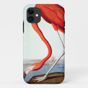 Coques Pour iPhone Flamant rose américain