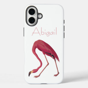 Coques iPhone 16 Plus Flamant rose américain Vintage Audubon Birds of Am
