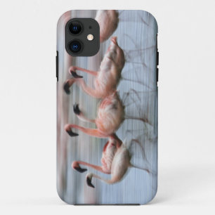 Coques Pour iPhone Flamants roses en mouvement, Phoenicopterus