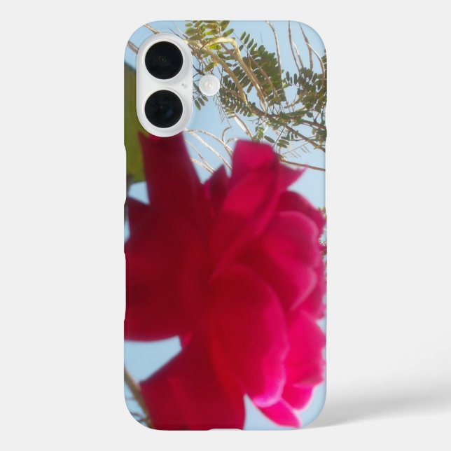 Coques Case-Mate iPhone Fleur céleste : Un Rose contre le ciel (Verso)