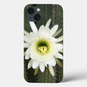 Case-Mate iPhone Case Fleur De Cactus De Nuit, Région De Karoo