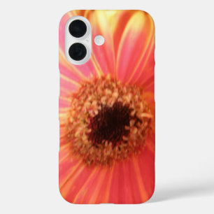 Coques iPhone 16 Fleur de gerbera