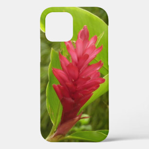 Case-Mate iPhone Case Fleur de gingembre rouge (Alpinia) tropicale