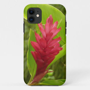 Coques Pour iPhone Fleur de gingembre rouge (Alpinia) tropicale