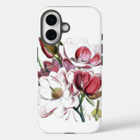 Fleur de Magnolias Blanche Vintage vieille illustr